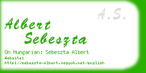 albert sebeszta business card